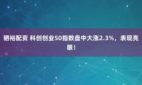 驷裕配资 科创创业50指数盘中大涨2.3%，表现亮眼！